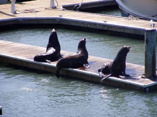 Pier 39